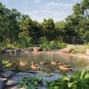 Construire un bassin pour canards : Top 10 des plantes aquatiques recommandees